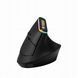 Ergonomiczna mysz wertykalna bezprzewodowa Bluetooth RGB USB-C 1600 DPI, Czarny