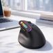 Ergonomiczna mysz wertykalna bezprzewodowa Bluetooth RGB USB-C 1600 DPI, Czarny