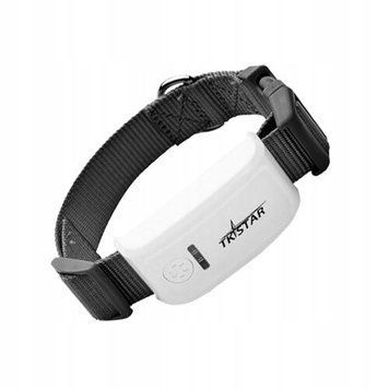 Lokalizator GPS TK909 dla Psa i Kota &ndash; Śledzenie LIVE + Obroża