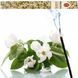 Kadzidełka patyczkowe jaśmin naturalne aromaty aromaterapia relaks 40&ndash;55min